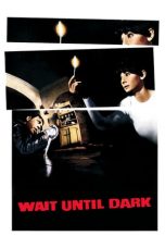 nonton streaming Wait Until Dark